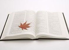 玩具厂的仓库员干什么呢